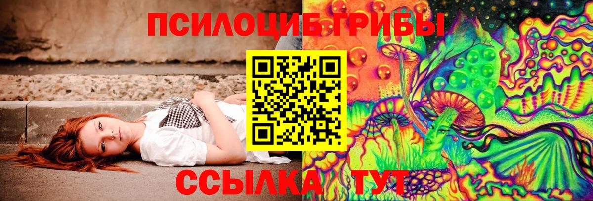 Галлюциногенные грибы Psilocybe Нижнеудинск